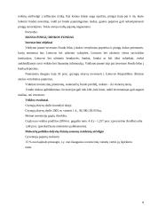 Investicinių fondų ir terminuotų bankinių indelių kaip investavimo alternatyvų palyginimas 8 puslapis