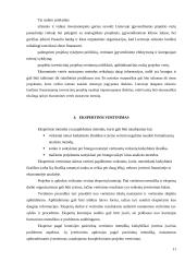 Investicinių projektų vertinimas 11 puslapis