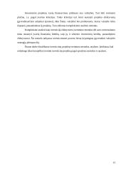 Investicinių projektų vertinimas 13 puslapis