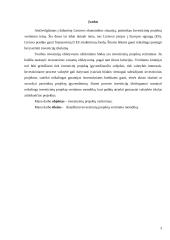 Investicinių projektų vertinimas 3 puslapis