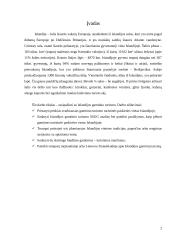 Islandijos gamtinis turizmas 2 puslapis