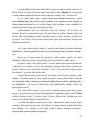 Islandijos gamtinis turizmas 11 puslapis