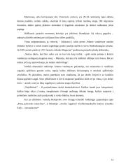 Islandijos gamtinis turizmas 12 puslapis