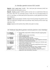 Islandijos gamtinis turizmas 6 puslapis