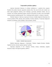 Islandijos socialinės ir ekonominės raidos tendencijos 13 puslapis