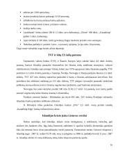 Islandijos socialinės ir ekonominės raidos tendencijos 17 puslapis