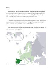 Ispanijos statybos sektoriaus būklė 2 puslapis