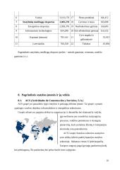 Ispanijos statybos sektoriaus būklė 20 puslapis