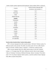 Ispanijos statybos sektoriaus būklė 7 puslapis