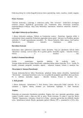 Ispanijos turizmo ištekliai 10 puslapis