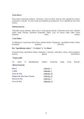 Ispanijos turizmo ištekliai 11 puslapis