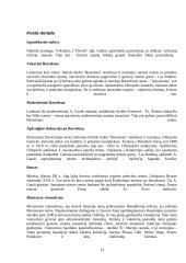 Ispanijos turizmo ištekliai 12 puslapis