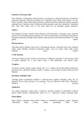 Ispanijos turizmo ištekliai 13 puslapis