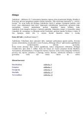 Ispanijos turizmo ištekliai 5 puslapis