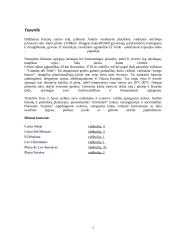 Ispanijos turizmo ištekliai 6 puslapis