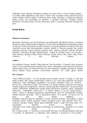 Ispanijos turizmo ištekliai 9 puslapis