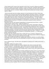 Išankstinė tyrimo objekto sisteminė analizė 2 puslapis