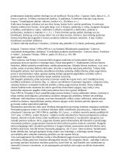 Išankstinė tyrimo objekto sisteminė analizė 11 puslapis