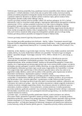 Išankstinė tyrimo objekto sisteminė analizė 13 puslapis