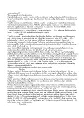 Išankstinė tyrimo objekto sisteminė analizė 15 puslapis