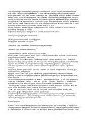 Išankstinė tyrimo objekto sisteminė analizė 3 puslapis