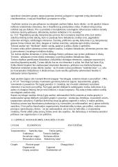 Išankstinė tyrimo objekto sisteminė analizė 5 puslapis