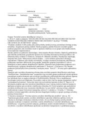 Išankstinė tyrimo objekto sisteminė analizė 6 puslapis