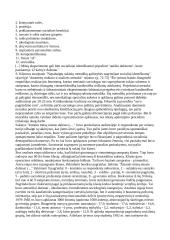 Išankstinė tyrimo objekto sisteminė analizė 9 puslapis