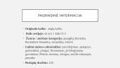 Knygos pristatymas „Paveldėtojų žaidimai“