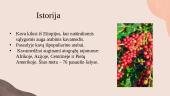Kava, jos paplitimas pasaulyje 3 puslapis