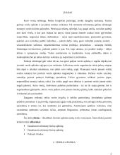 Išorinė aplinka ir jos veiksnių įtaka verslui 2 puslapis