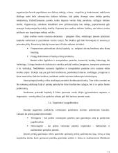 Išorinė aplinka ir jos veiksnių įtaka verslui 11 puslapis