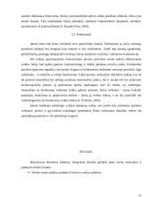 Išorinė aplinka ir jos veiksnių įtaka verslui 12 puslapis