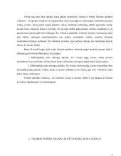 Išorinė aplinka ir jos veiksnių įtaka verslui 3 puslapis