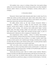 Išorinė aplinka ir jos veiksnių įtaka verslui 4 puslapis