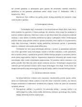 Išorinė aplinka ir jos veiksnių įtaka verslui 5 puslapis