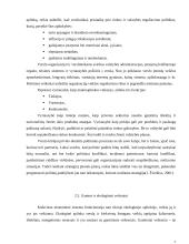 Išorinė aplinka ir jos veiksnių įtaka verslui 7 puslapis