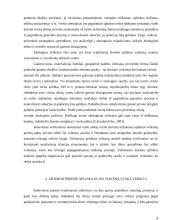 Išorinė aplinka ir jos veiksnių įtaka verslui 8 puslapis