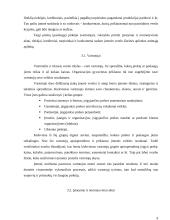 Išorinė aplinka ir jos veiksnių įtaka verslui 9 puslapis