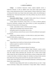 Išperkamoji nuoma - lizingas 2 puslapis