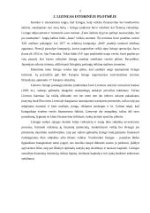 Išperkamoji nuoma - lizingas 4 puslapis