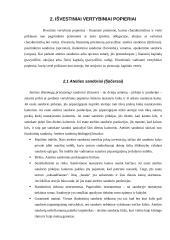 Išvestiniai vertybiniai popieriai, jų panašumai bei skirtumai 3 puslapis