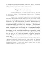 Išvestiniai vertybiniai popieriai, jų panašumai bei skirtumai 8 puslapis