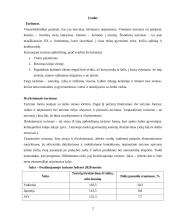 Išvykstamojo turizmo problemų analizė 2 puslapis