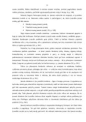 Įvaizdžio analizė: maitinimo verslas 11 puslapis