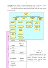 Įvaizdžio analizė: maitinimo verslas 12 puslapis