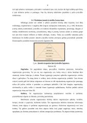 Įvaizdžio analizė: maitinimo verslas 8 puslapis