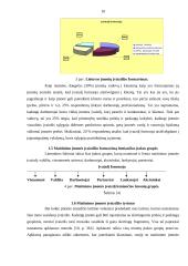 Įvaizdžio analizė: maitinimo verslas 10 puslapis