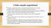 Titanas (Ti) ir Cinkas (Zn) 7 puslapis