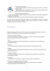 Ultragarso terapija 5 puslapis